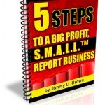 5 steps to big profit with small reports
