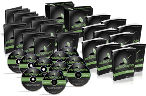 niche-blueprint-2-dvds