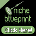 niche-blueprint