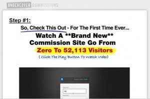 Undercover Commissions Undercover Commissions