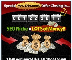 SEO PLR Package