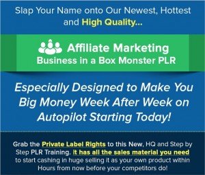 Affiliate Marketing Business in a Box