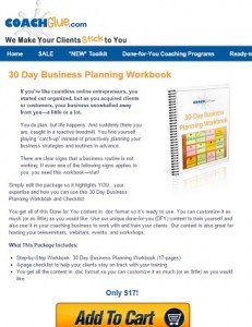 30 Day Business Planning Workbook