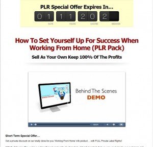 Working From Home PLR
